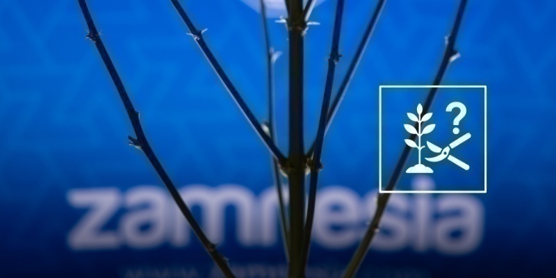 Můžete odlistit samonakv&eacute;tac&iacute; rostliny?