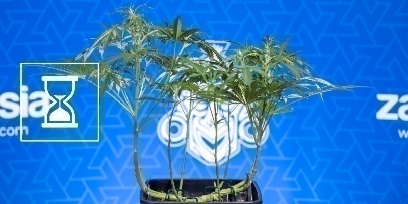 Common mistakes to avoid