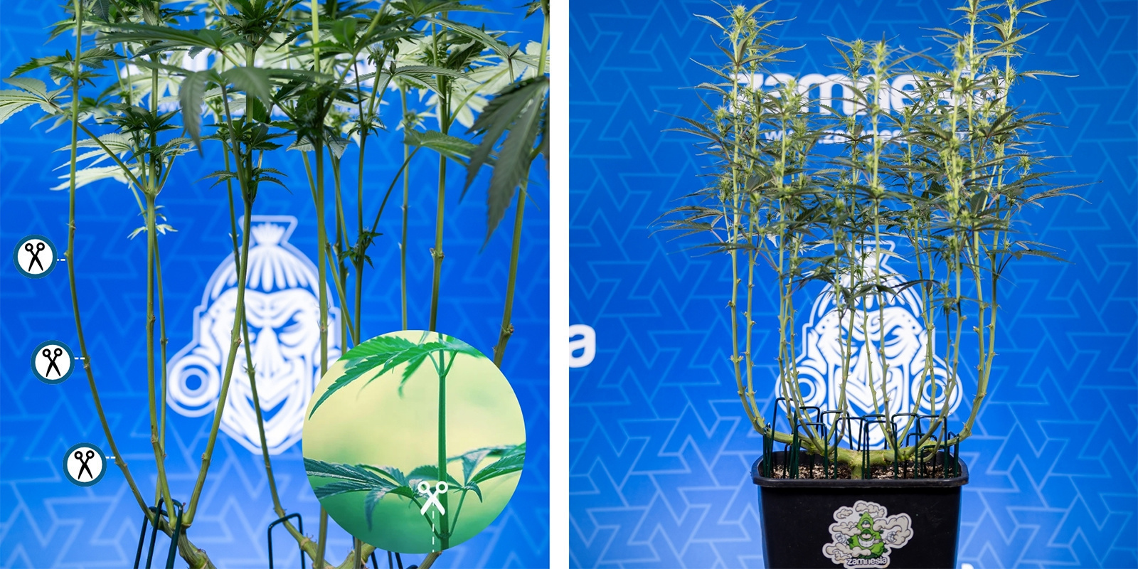 Krok 3: Pečliv&eacute; zastřihov&aacute;n&iacute;