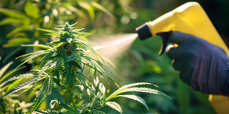 &Uacute;vod do integrovan&eacute; ochrany proti &scaron;kůdcům