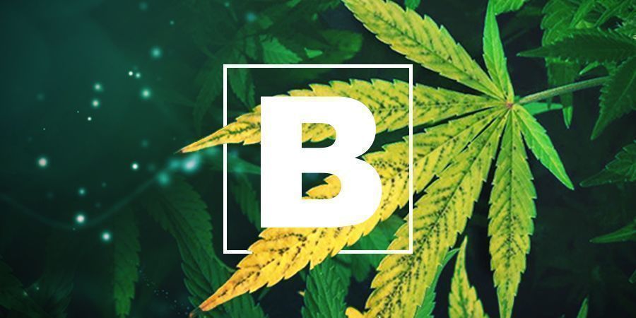 Nedostatek b&oacute;ru