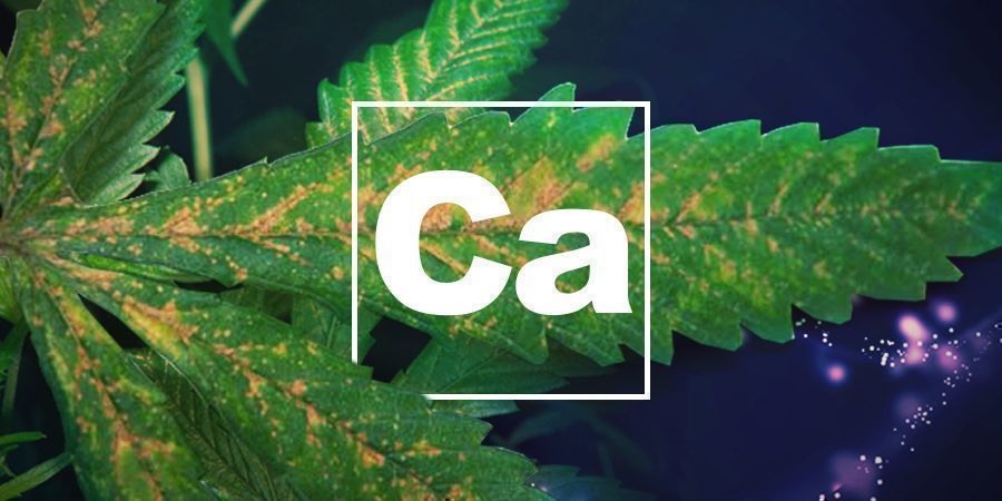 Nedostatek v&aacute;pn&iacute;ku