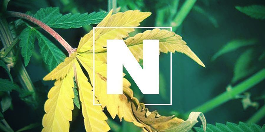 NEDOSTATEK DUS&Iacute;KU