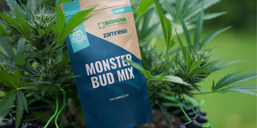 Jak&eacute; živiny potřebuj&iacute; samonakv&eacute;tac&iacute; rostliny konop&iacute;?