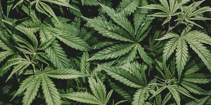 Běžn&eacute; chyby, kter&yacute;m je dobr&eacute; se vyhnout