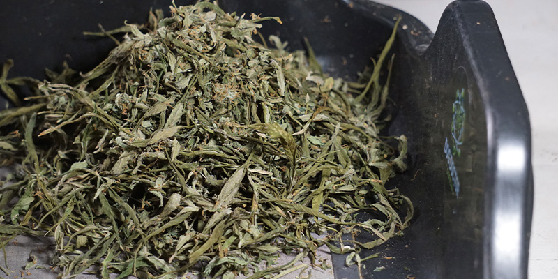 Dejte sv&eacute;mu trimu druh&yacute; život