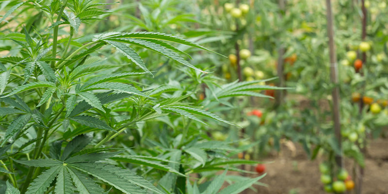 Don&rsquo;t forget to balance stealth with ease of access