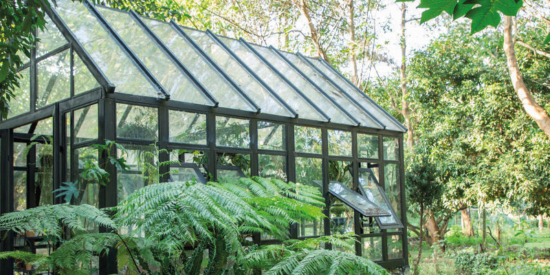 Jak maskovat venkovn&iacute; rostliny konop&iacute;