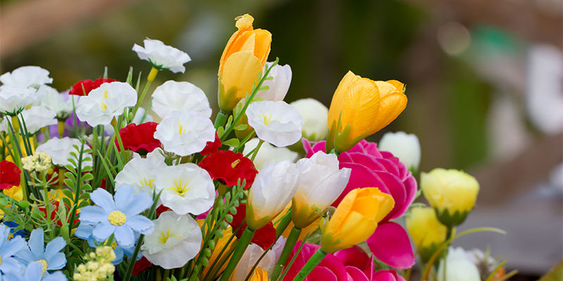 Jak schovat venkovn&iacute; pěstov&aacute;n&iacute; konop&iacute;?