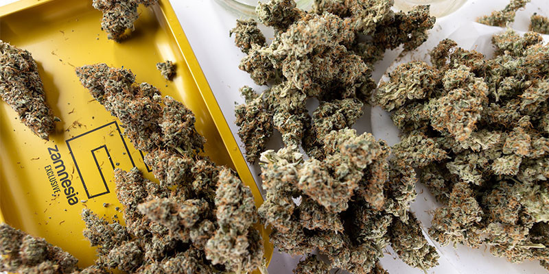 Don't let good weed go bad