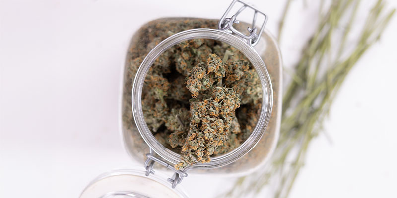 Jak spr&aacute;vně skladovat tr&aacute;vu