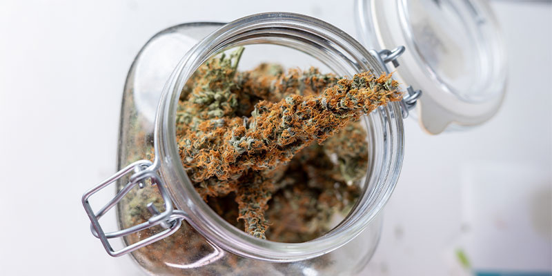 Ide&aacute;ln&iacute; podm&iacute;nky skladov&aacute;n&iacute;