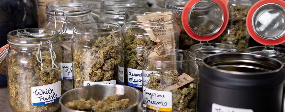 Jak spr&aacute;vně vyzr&aacute;t sv&eacute; konop&iacute;