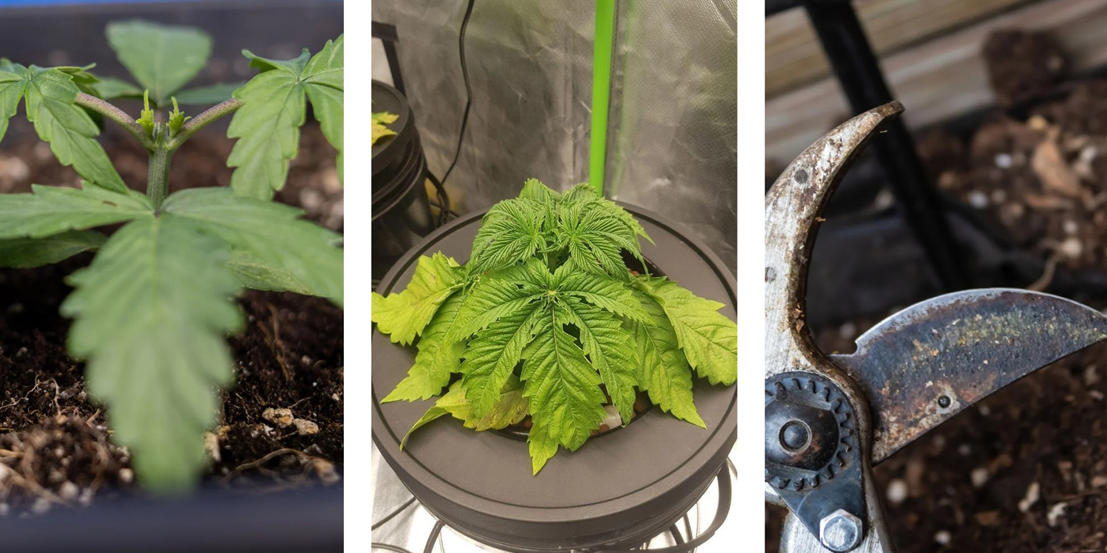 Čast&eacute; chyby, kter&yacute;m je dobr&eacute; se vyhnout