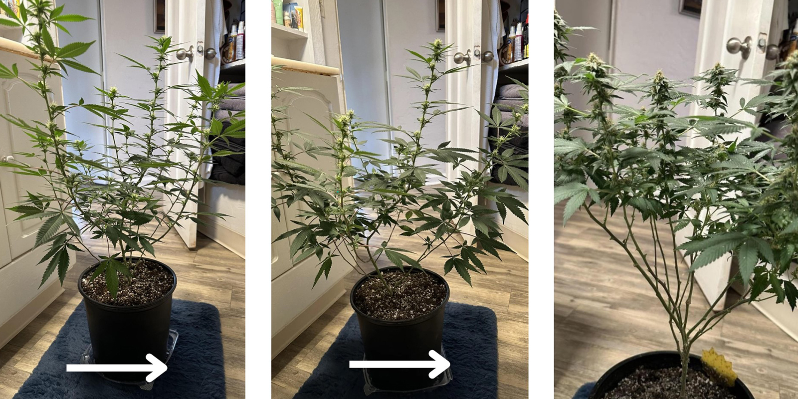 2. Pracujte shora dolů