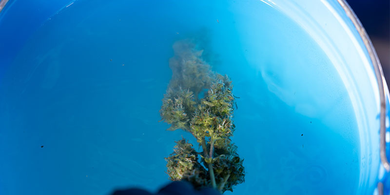 Krok 3: Ponořen&iacute; do kbel&iacute;ku 1