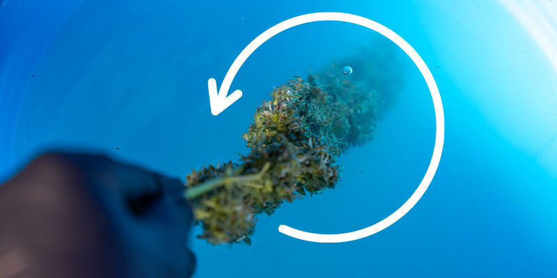 Krok 5: Oplach v kbel&iacute;ku 2