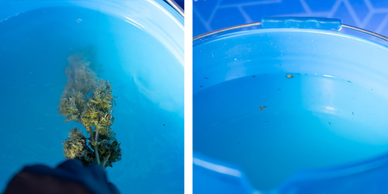 Krok 6: Z&aacute;věrečn&eacute; opl&aacute;chnut&iacute; ve 3. kbel&iacute;ku