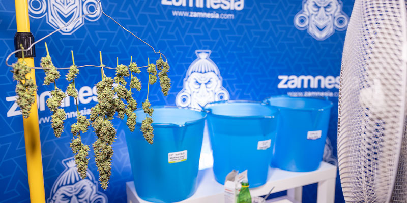 Krok 7: Zavě&scaron;en&iacute; k su&scaron;en&iacute;