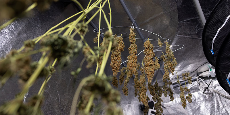 Nejlep&scaron;&iacute; postupy pro su&scaron;en&iacute; po omyt&iacute;