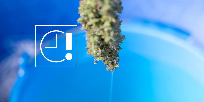 Čast&eacute; chyby, kter&yacute;m je dobr&eacute; se vyhnout