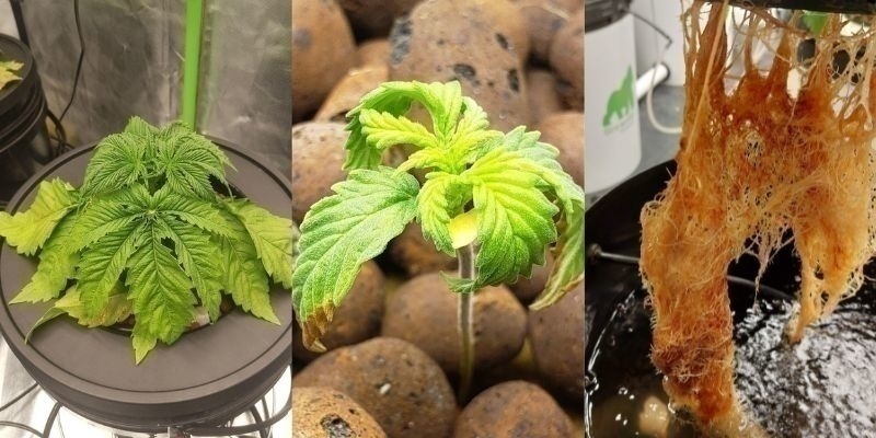 Prvn&iacute; varovn&eacute; sign&aacute;ly