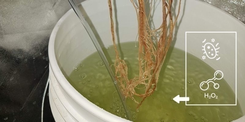 O&scaron;etřen&iacute; H₂O₂ nebo prospě&scaron;n&yacute;mi bakteriemi