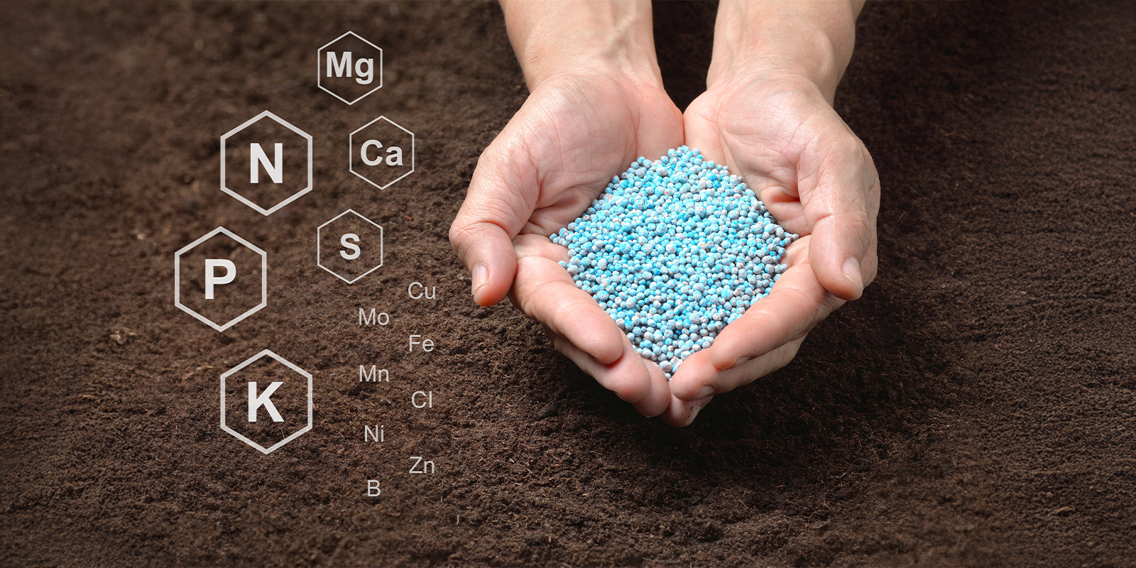 Syntetick&eacute; živn&eacute; roztoky