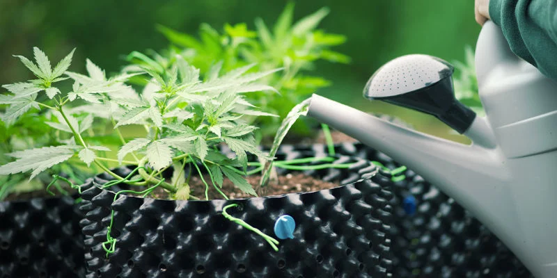 Jak předch&aacute;zet toxicitě dus&iacute;ku