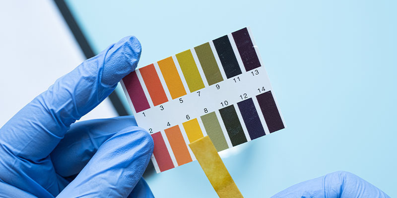 Upravte pH půdy nebo hydro syst&eacute;mu