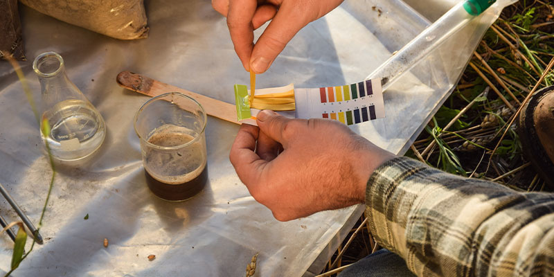 Preventing future magnesium deficiency