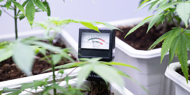 Fosfor: Nezbytn&yacute; makroprvek