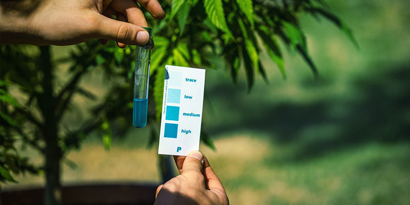 Co způsobuje nedostatek zinku?