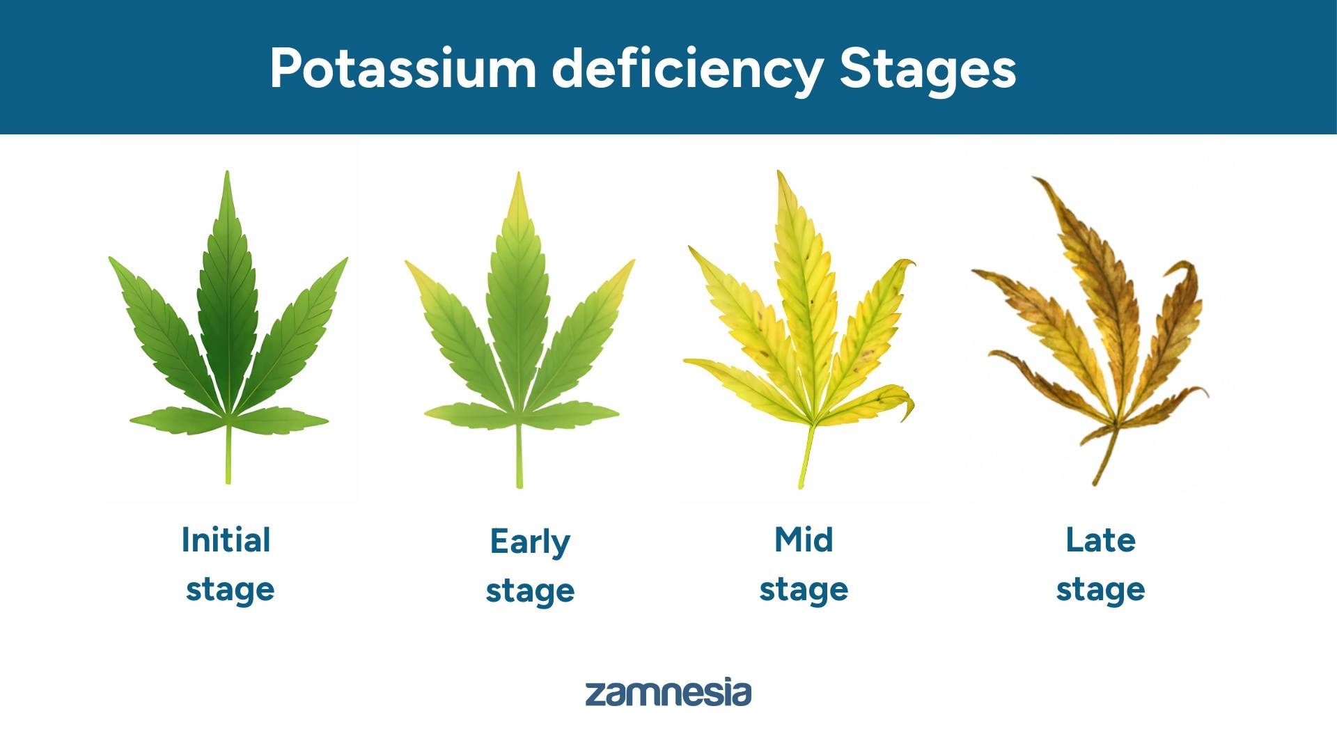 Stadia nedostatku drasl&iacute;ku