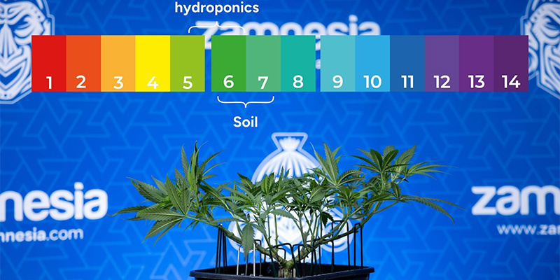 Vylučte probl&eacute;m s pH a blokaci živin