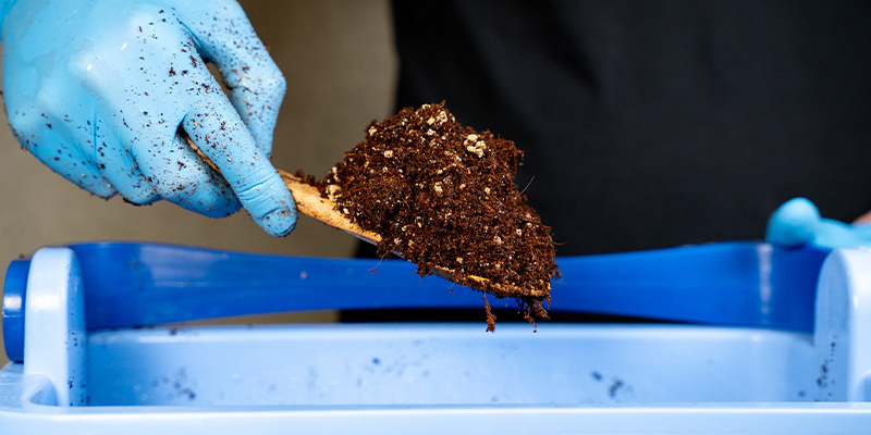 Jak použ&iacute;vat kokosov&eacute; vl&aacute;kno jako pěstebn&iacute; substr&aacute;t