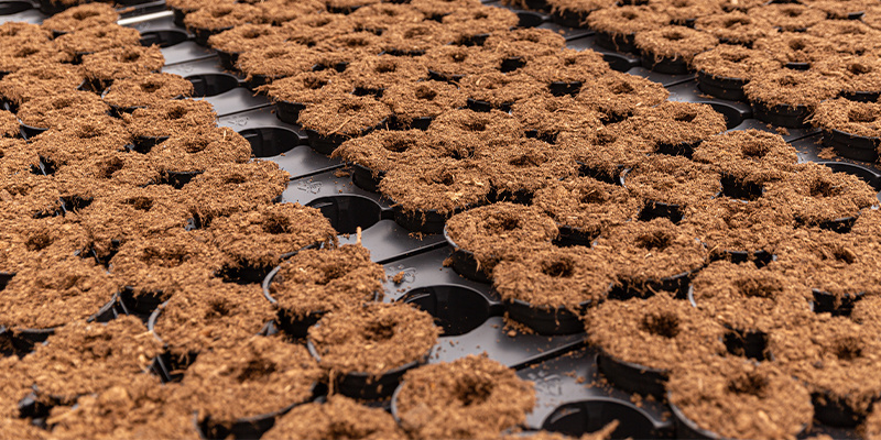 Typy kokosov&eacute;ho substr&aacute;tu