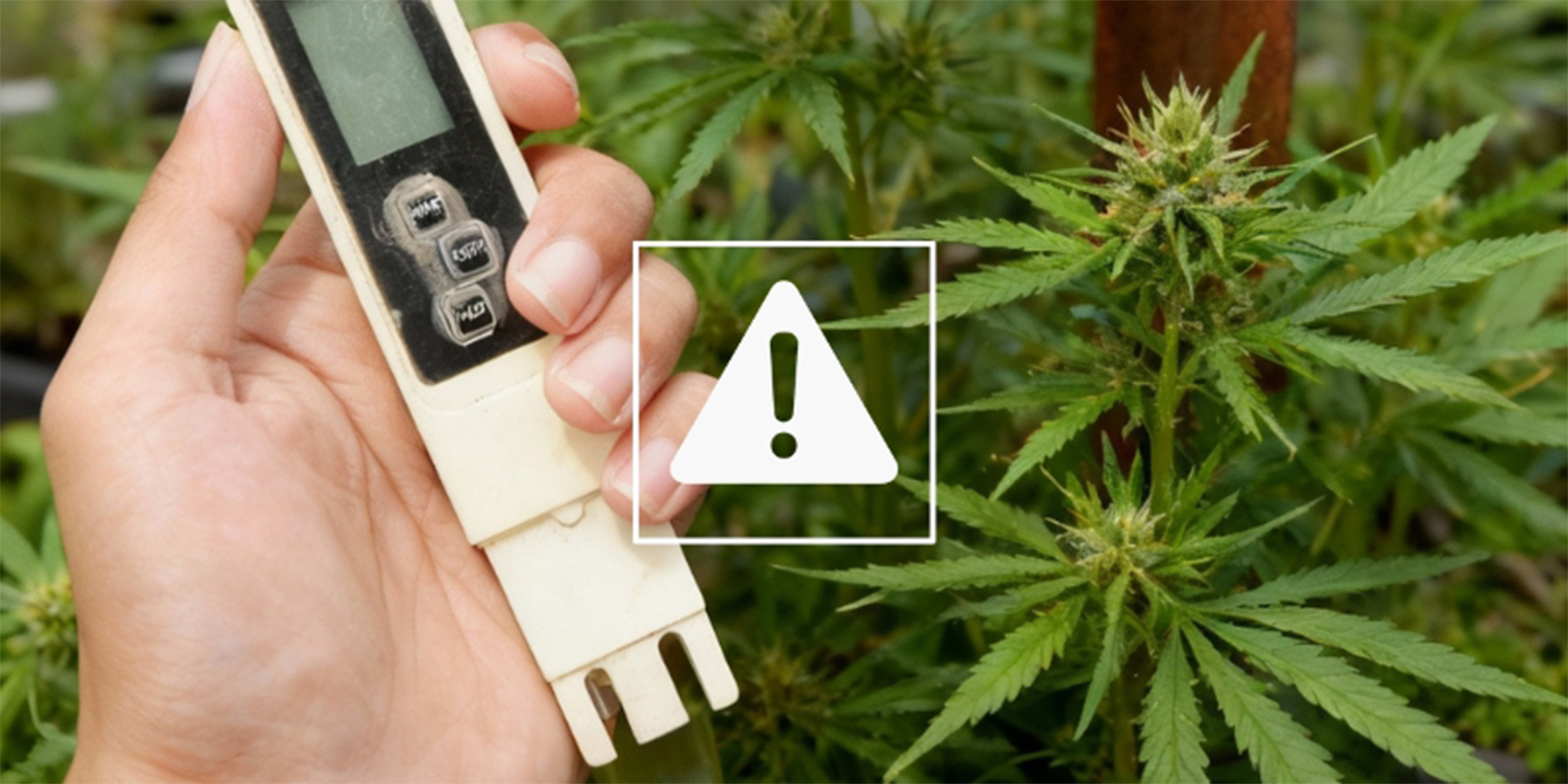 Čast&eacute; probl&eacute;my s EC a jak je vyře&scaron;it