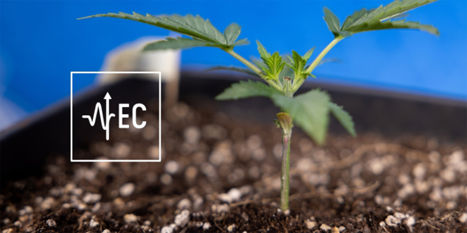 Co je EC a proč na něm z&aacute;lež&iacute;?