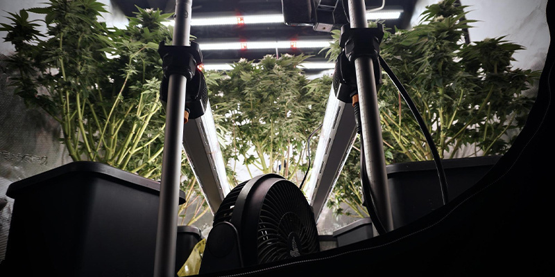 Optimalizace podm&iacute;nek prostřed&iacute;