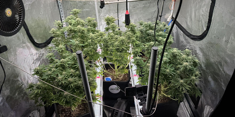 Možn&eacute; probl&eacute;my s regulac&iacute; tepla