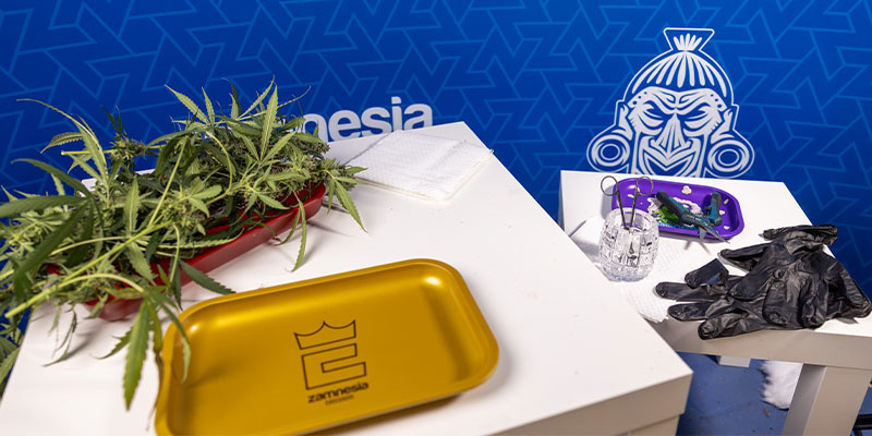 1. Připravte si n&aacute;stroje a pracovn&iacute; prostor na střih