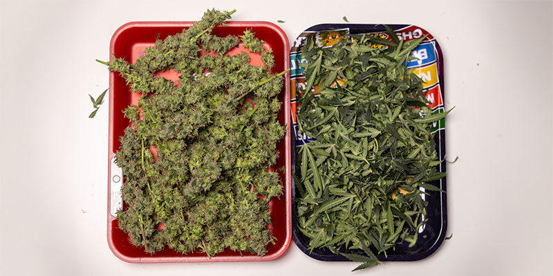 4. Collect and store your trim