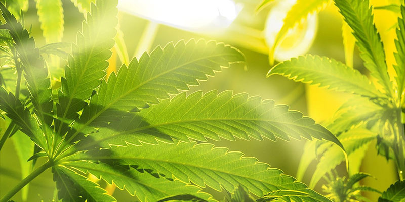 Čast&eacute; chyby při podkorunov&eacute;m osvětlen&iacute; a jak se jim vyhnout