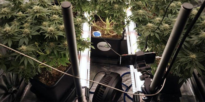 LED světeln&eacute; li&scaron;ty (doporučeno)