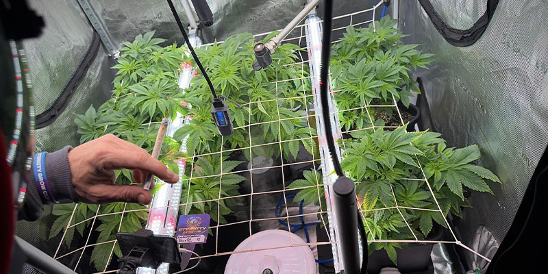 Pokyny pro um&iacute;stěn&iacute; osvětlen&iacute;