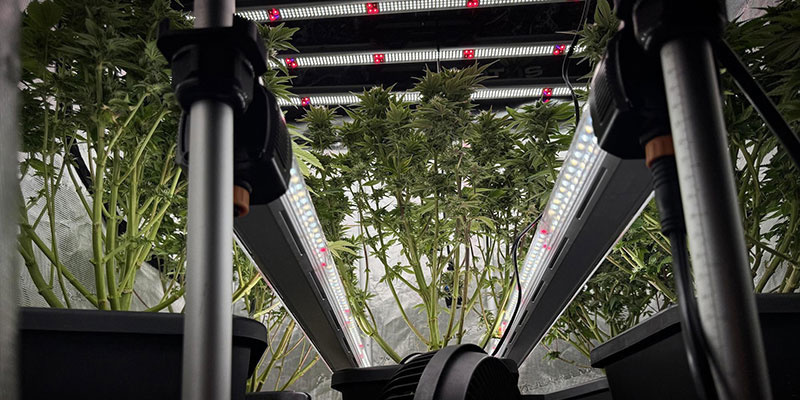 Krok 1: Pl&aacute;nov&aacute;n&iacute; rozložen&iacute; osvětlen&iacute; pod korunou