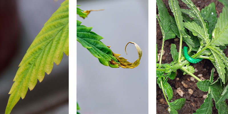 Krok 3: Kontrola a doladěn&iacute;