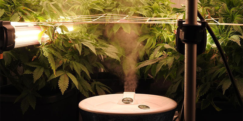 Krok 4: Integrace podkorunov&eacute;ho osvětlen&iacute; s dal&scaron;&iacute;mi růstov&yacute;mi faktory