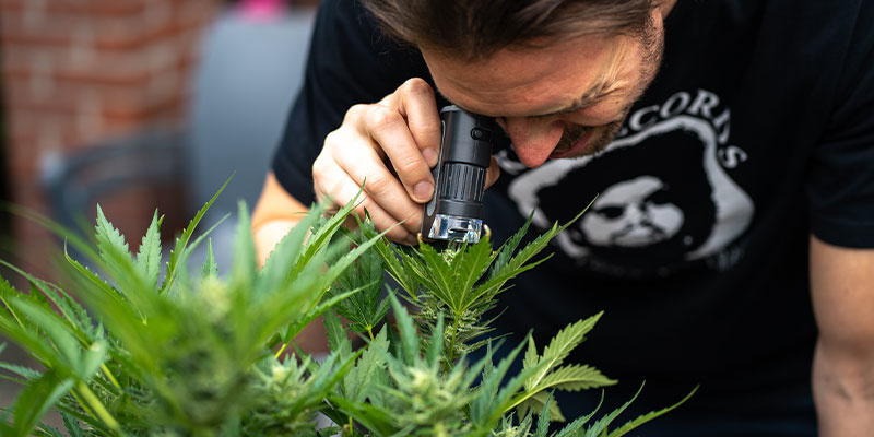 Rozli&scaron;en&iacute; padl&iacute; od jin&yacute;ch probl&eacute;mů